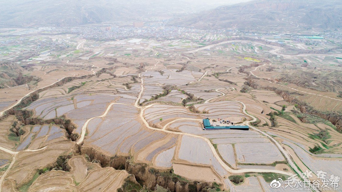 近日拔草推广场景化定制您的活动页面:深夜推广不用等,数据透明更放心,抖音涨粉丝业务：新粉丝业务广告标识详细说明要求