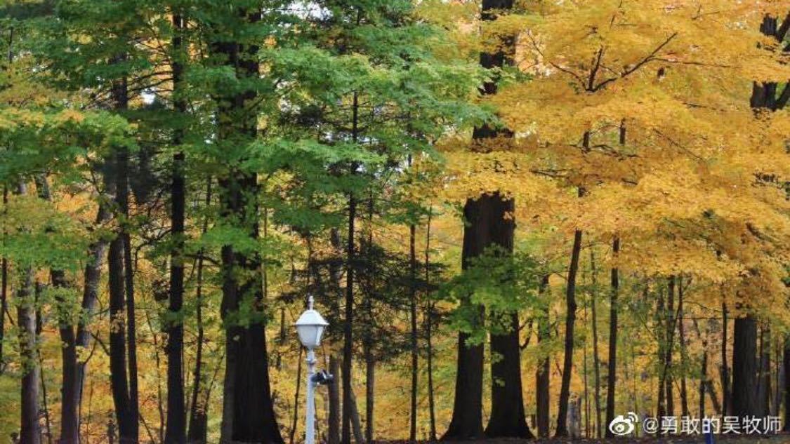 本周头条推广差异化定制您的网络平台运营模式全解:平台、代理与终端的连接保时捷车主发声