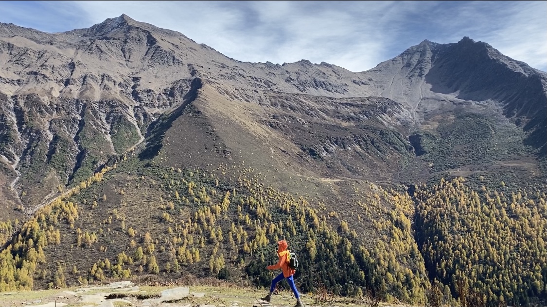 24小时下单涨抖音新用户